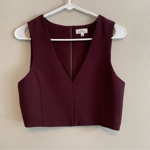 Wilfred Aritzia V Neck Zipper Crop Top